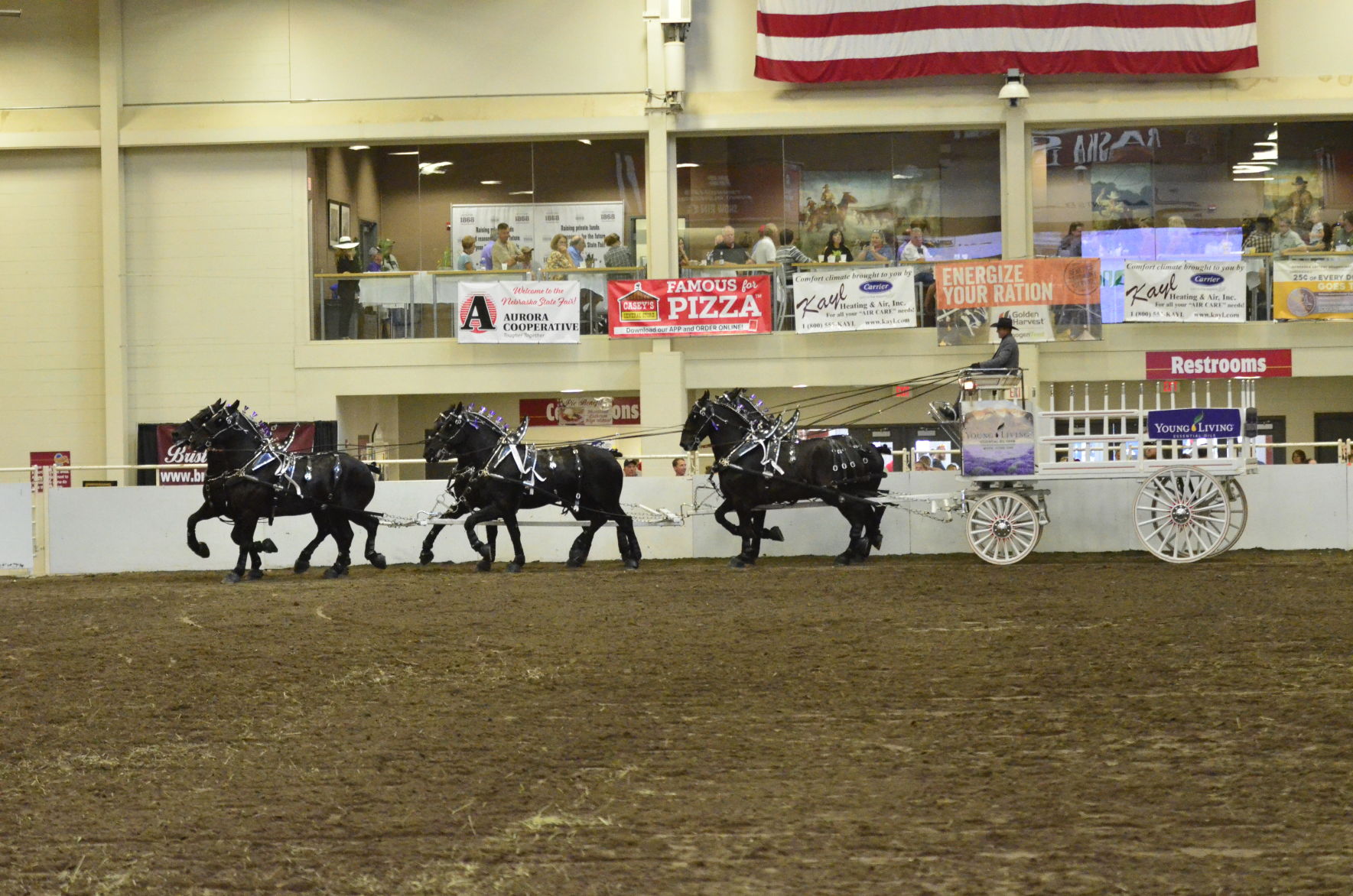 8-25-19 Draft Horse Hitch Final (81).JPG
